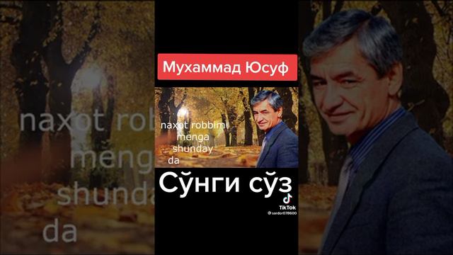 Мухаммад Юсуф умрининг сунги кунлари смотреть онлайн