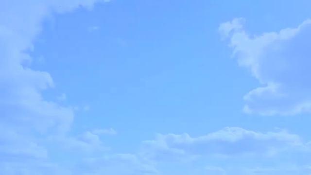 Видео применения ПТАБ 2,5 смотреть онлайн