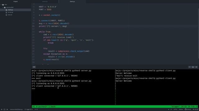 Just a reverse shell with python смотреть онлайн