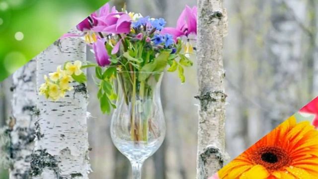 24. Только для тебя... Красивое поздравление с Днём Рождения смотреть онлайн