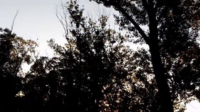 Новоселицкое, рано утром возле детсада "Алёнушка" смотреть онлайн