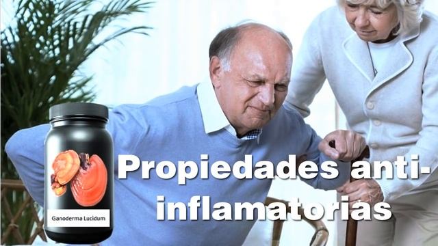 Ganoderma Lucidum Beneficios, Ganoderma Lucidum O Reishi Propiedades смотреть онлайн