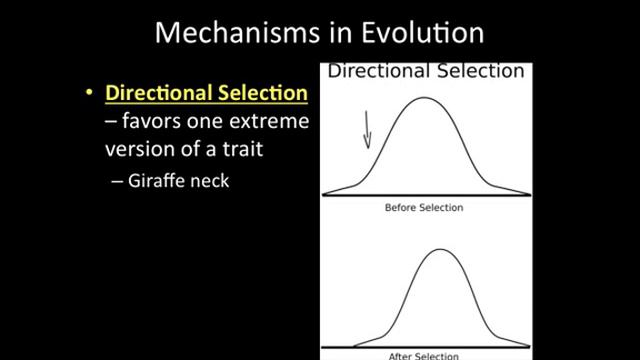 Video Lecture: 10-3 Modes of Evolution смотреть онлайн