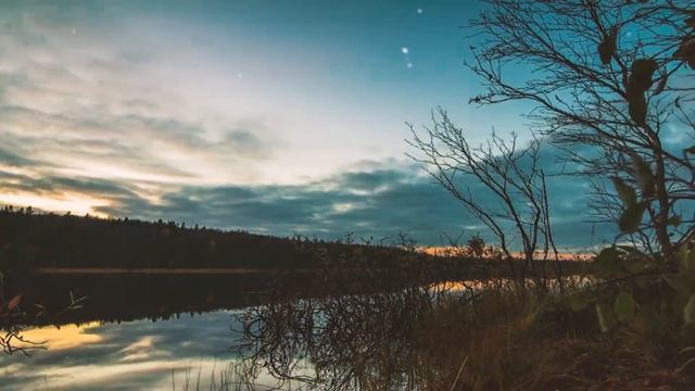 06.08.2020... Пусть подождут бродяги журавли... смотреть онлайн