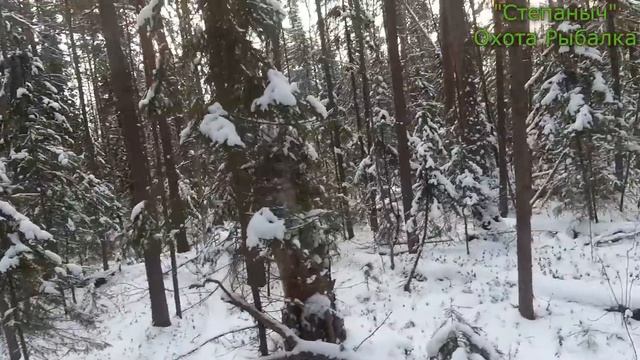 4 заезд 2 день Большой круг Белки (2 часть) 12 11 22 смотреть онлайн