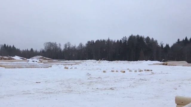 Обзор рубки сруба для Андрея от 24.02.2019 сямженский лес смотреть онлайн