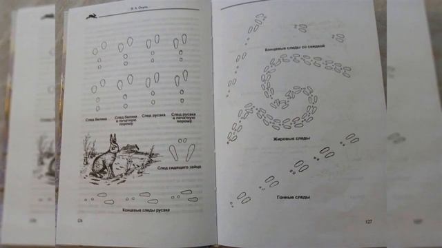 Глава 3 "Охота на беляков в узёрку" "Охота на зайца" Рахманин Г.Е смотреть онлайн
