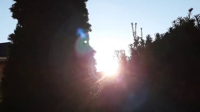 Сфотографируйте солнце камерой телефона. Планеты заходят за Солнцем.