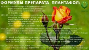 Проф. удобрения для роз.2-ч. Плантафол и Мастер- как их правильно использовать. Питомник Е. Иващенк