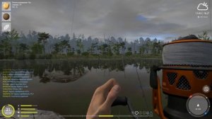 ФАРМ КУСОЧКОВ РЫБЫ • СТАРЫЙ ОСТРОГ • ВОЛХОВ • Русская Рыбалка 4