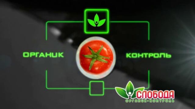 Слобода Кетчуп Органик Контроль Прибор Спагетти 2012 10сек смотреть онлайн