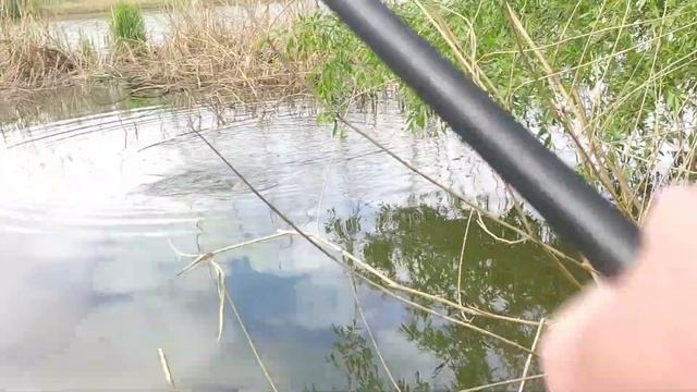 Рыбалка 23.04.2023 на реке Понура на летнюю мормышку. смотреть онлайн