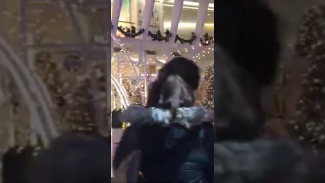 Новогодняя ярмарка во всемирном торговом центре Нью-Йорка #ньюйорк #торговыйцентр #манхэттен смотреть онлайн