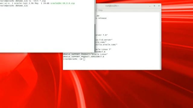 [NEW 2019] How to Install ORACLE DATABASE 19c(19.3.0) on virtual machine LINUX 7.6 смотреть онлайн