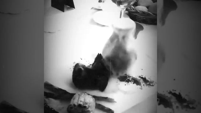 NINTENDO ИНЬ-ЯНЬ. смотреть онлайн