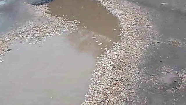 Жирновск - самый чистый город? Или о равнодушии.... Новости Жирновска - форум ЖИРАФ смотреть онлайн