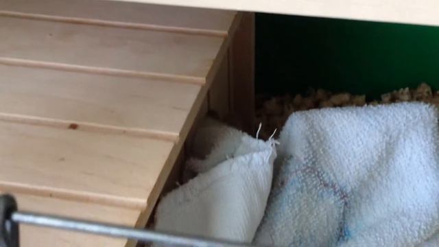 Лея/Зея - 3 смотреть онлайн