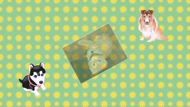 Кис брысь мяу -:))) смотреть онлайн