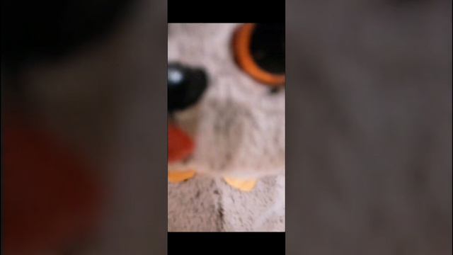 Обзор на вещички Басиков!