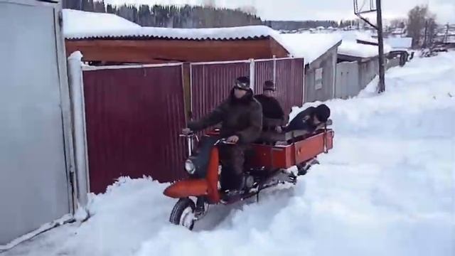 пакатушки на муравье смотреть онлайн
