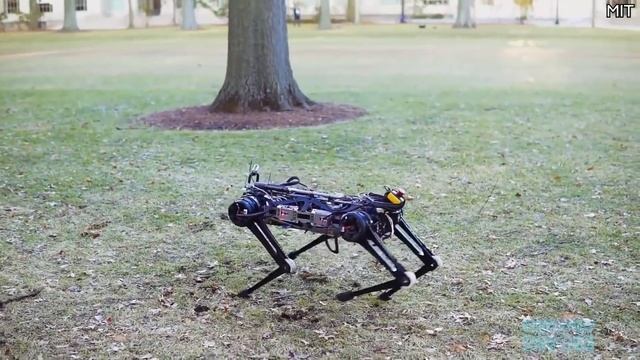 The Robots Return, How Have Atlas, ASIMO, Cheetah, Spot And Pepper Fared  4+ Years On?