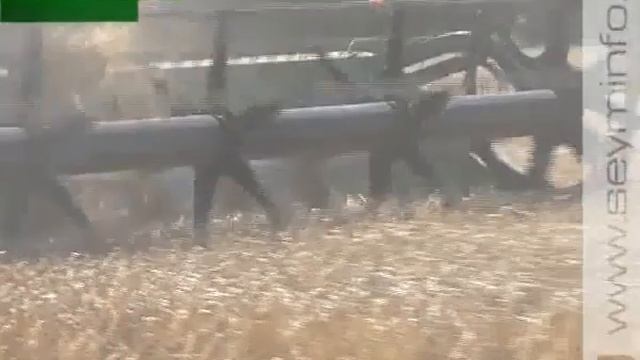Курский регион - 1-й в ЦФО по валовому сбору смотреть онлайн
