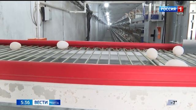 В Забайкалье подорожали яйца смотреть онлайн