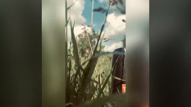 Портативная колонка. Защита от воды, встроенный микрофон, 12 часов беспрерывной работы смотреть онлайн