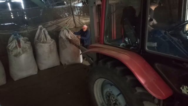 Инокуляция гороха 2018 смотреть онлайн