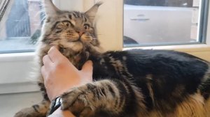 Майкун Федр)))Калининград заехал в гости к сестре.