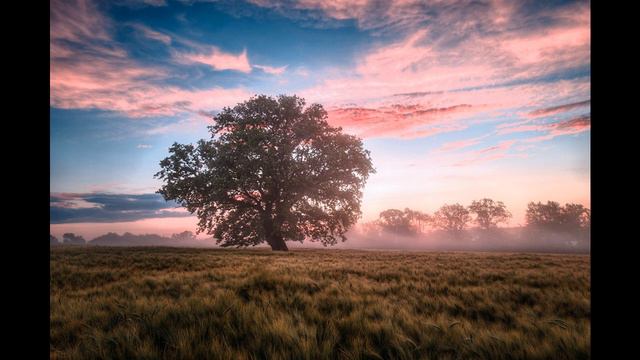 Мелодия для души.Melody of love. Melody for the soul. Light melody. асмр. смотреть онлайн