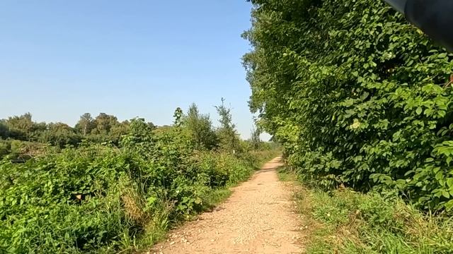 После потери мужа, жена установила на его могиле скрытую камеру… А увидев, что ночью сделали волки… смотреть онлайн