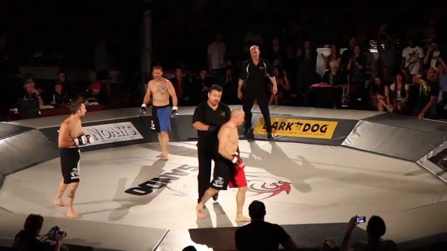 Сразу три бойца бьются на одном ринге, где каждый сам за себя: как это происходит смотреть онлайн