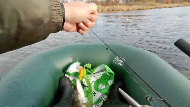 #рыбалканащукуудаласьнаславувоктябре2022года.mp4