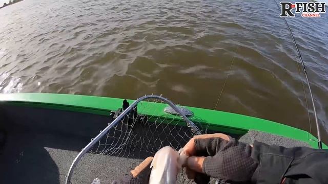 Такой и должна быть рыбалка в Астрахани! 2 серия осенних приключений на нижней Волге смотреть онлайн