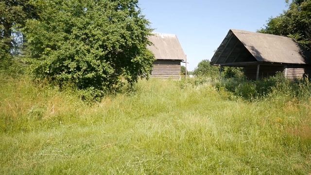 26 июня в АКУЛИНИН ДЕНЬ сварите гречневую кашу: народные традиции и приметы смотреть онлайн