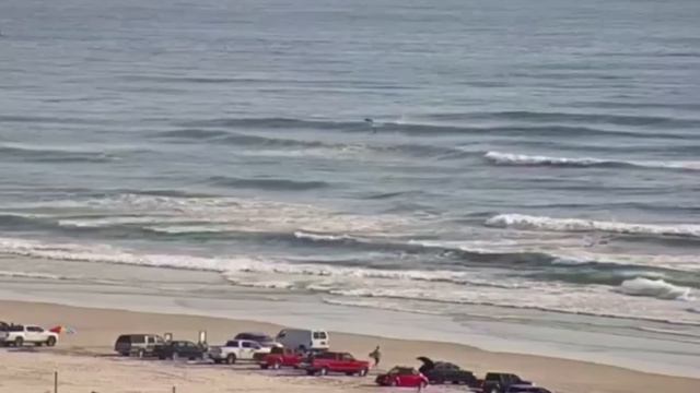 WTF Moments Captured By Surfline Cams смотреть онлайн