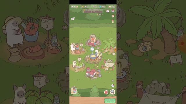 игра суп и коты #кот #игра