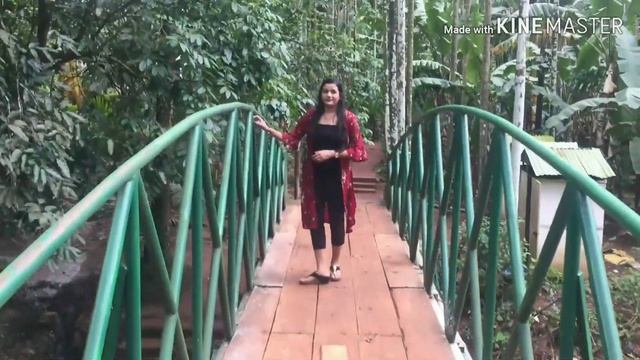 We Visited Spice Farm In Goa | Traditional Goan Food | Sahakari Spice Farm | Goa Vlog #goa #goavlog смотреть онлайн