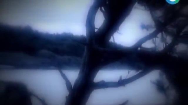 Пришельцы из преисподней спустились на Землю. Обратная сторона существования. Мистика. смотреть онлайн