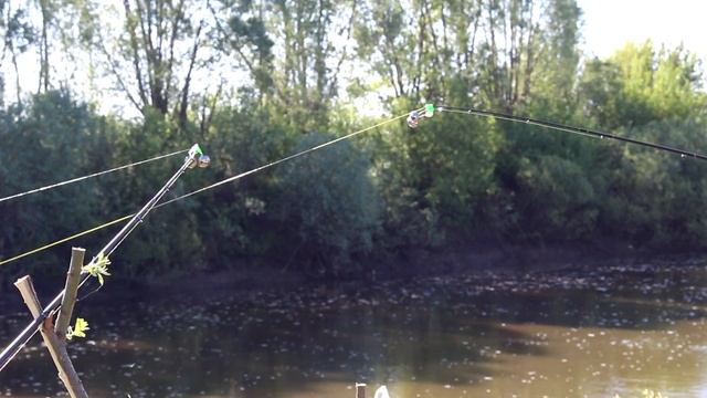 Ловля карася на фидер весной. р. Цивиль. (Uha-tv). смотреть онлайн