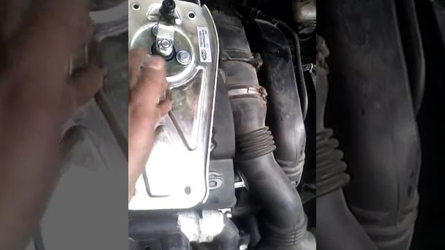 Fiat: A Passion For Performance