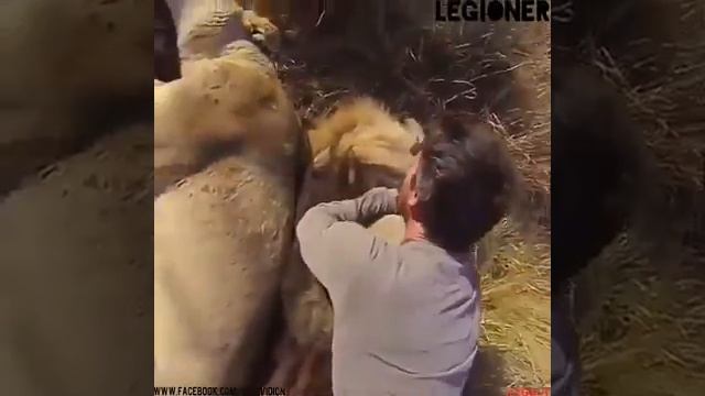 Чечня, Ингушетия, Грозный, Назрань.живой мир смотреть онлайн