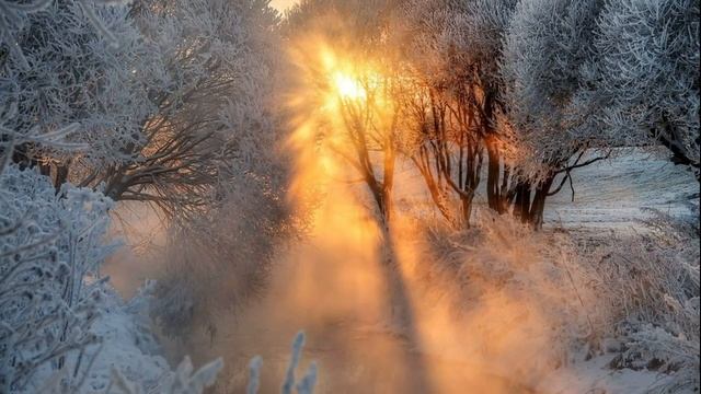 ЖИЗНЬ НА НОВОЙ ЗЕМЛЕ (ДОМАШНИЕ ЖИВОТНЫЕ В ПЯТОМ ИЗМЕРЕНИИ) смотреть онлайн
