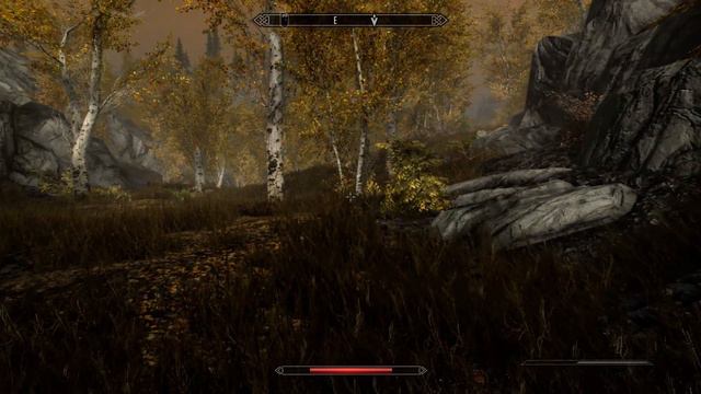 Skyrim SE W/ Frostfall Camping Mod