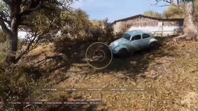 ¿Cómo fotografiar al Vocho? - Forza Horizon 5 (Xbox series s) смотреть онлайн