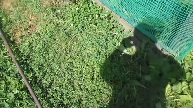 Сборка и установка 3G антенны AX-2017YF. Производитель АНТЭКС. смотреть онлайн