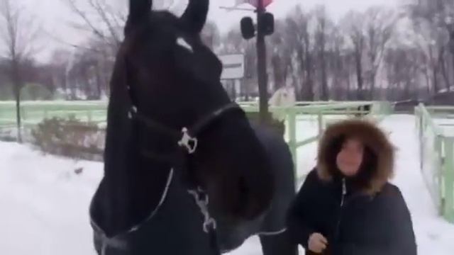 Ну как ты доехал , друг? смотреть онлайн