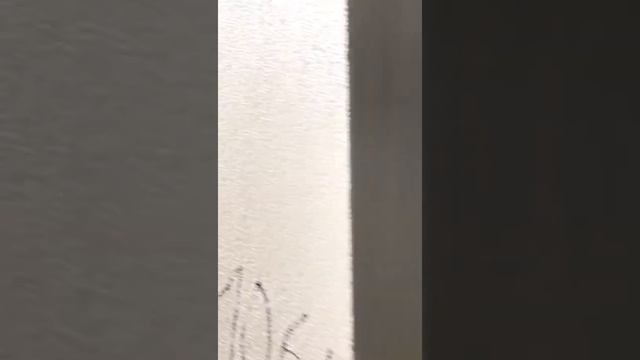 производство пенополистирола (пенопласта) смотреть онлайн