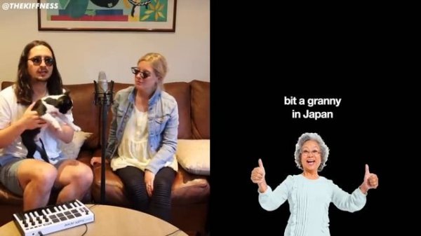 The Kiffness x Mumble Cat (Crazy Rap Parody) ft. My Awesome Wife